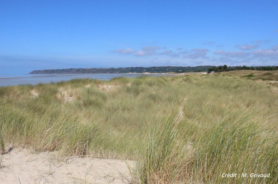 Dunes de Dragey