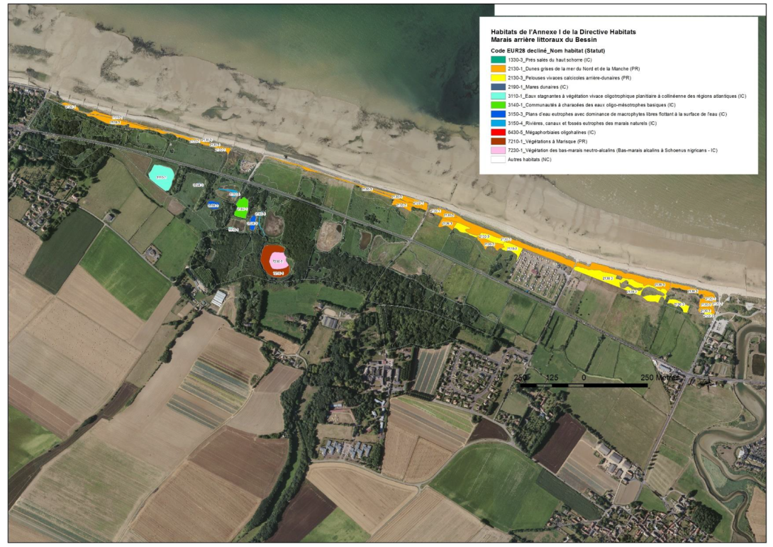 Cartographie des habitats d'intérêt communautaire sur le marais de Graye-sur-Mer