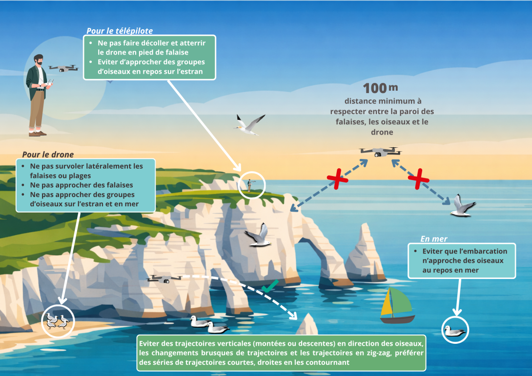 Les bonnes pratiques à adopter sur le littoral de la Seine-Maritime en drone